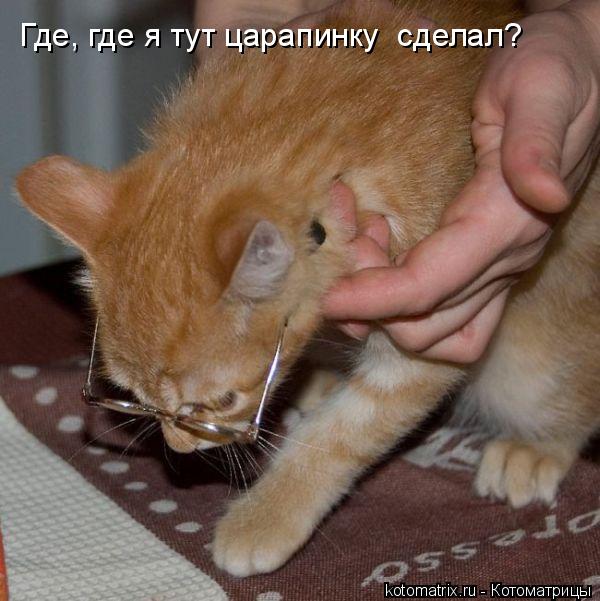 Котоматрица: Где, где я тут царапинку  сделал?
