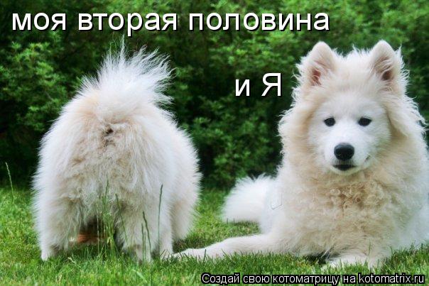 моя вторая половина и Я... Котоматрица: моя вторая половина и Я