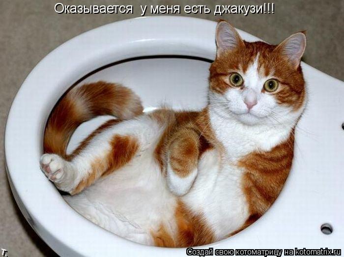 Котоматрица: Оказывается  у меня есть джакузи!!!