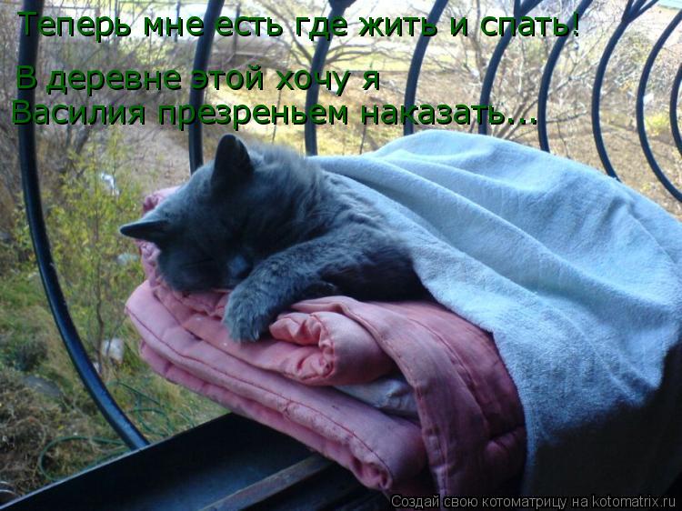Котоматрица: Теперь мне есть где жить и спать! В деревне этой хочу я Василия презреньем наказать...