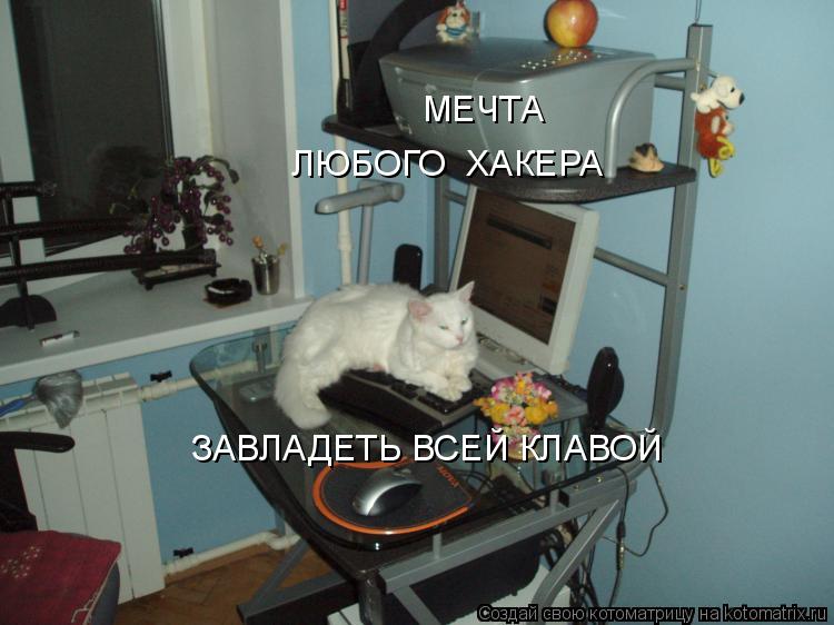 Котоматрица: МЕЧТА ЛЮБОГО  ХАКЕРА ЗАВЛАДЕТЬ ВСЕЙ КЛАВОЙ
