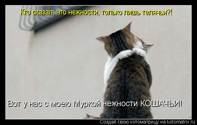 Кто сказал, что нежности, только лишь телячьи?! Вот у нас с моею Муркой нежности КОШАЧЬИ!... Котоматрица: Кто сказал, что нежности, только лишь телячьи?! Вот у нас с моею Муркой нежности КОШАЧЬИ!