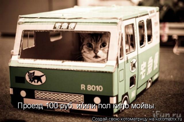 Проезд 100 руб. и/или пол кило мойвы.... Котоматрица: Проезд 100 руб. и/или пол кило мойвы.