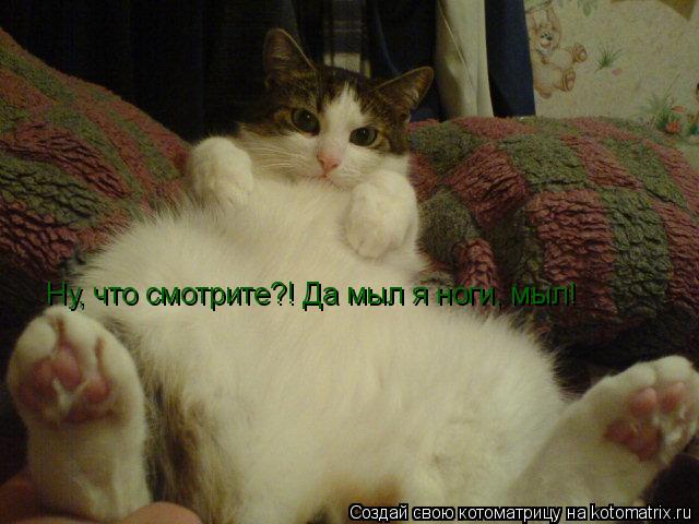 Котоматрица: Ну, что смотрите?! Да мыл я ноги, мыл!