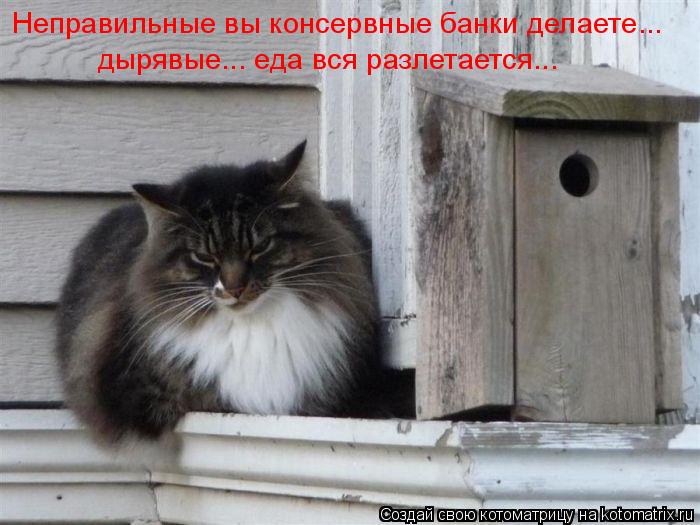Неправильные вы консервные банки делаете... дырявые... еда вся разлетается...... Котоматрица: Неправильные вы консервные банки делаете... дырявые... еда вся разлетается...