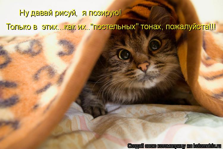 Котоматрица: Ну давай рисуй,  я позирую! Только в  этих...как их.."постельных" тонах, пожалуйста!!!