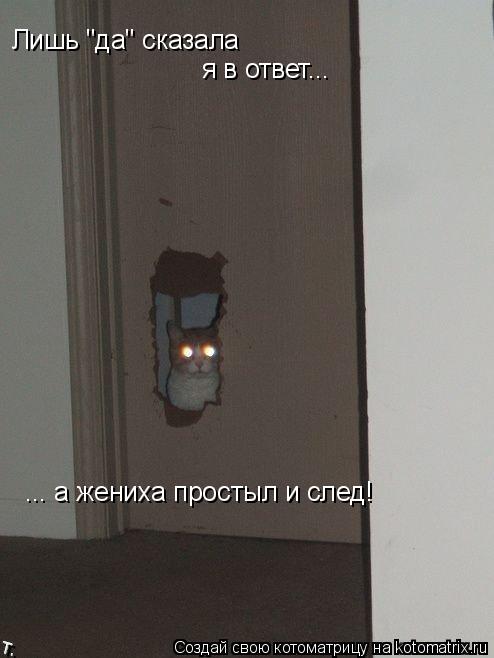 Лишь "да" сказала я в ответ... ... а жениха простыл и след!... Котоматрица: Лишь "да" сказала я в ответ... ... а жениха простыл и след!