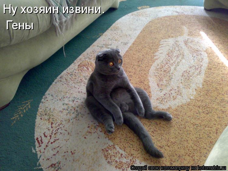 Котоматрица: Ну хозяин извини. Гены
