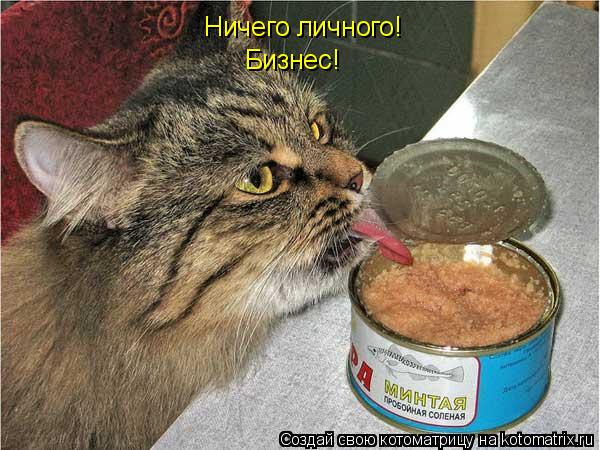 Котоматрица: Ничего личного! Бизнес!