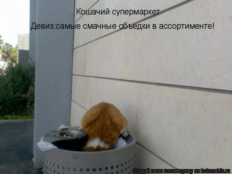 Котоматрица: Кошачий супермаркет Девиз:самые смачные объедки в ассортименте!