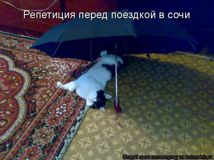 Репетиция перед поездкой в сочи... Котоматрица: Репетиция перед поездкой в сочи