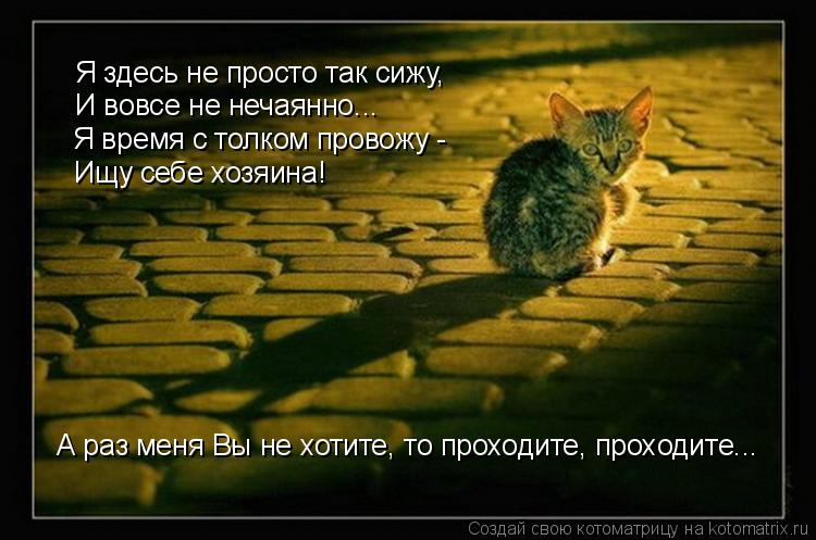 Я здесь не просто так сижу, И вовсе не нечаянно... Я время с толком провожу - Ищу себе хозяина! А раз... Котоматрица: Я здесь не просто так сижу, И вовсе не нечаянно... Я время с толком провожу - Ищу себе хозяина! А раз меня Вы не хотите, то проходите, проходите..