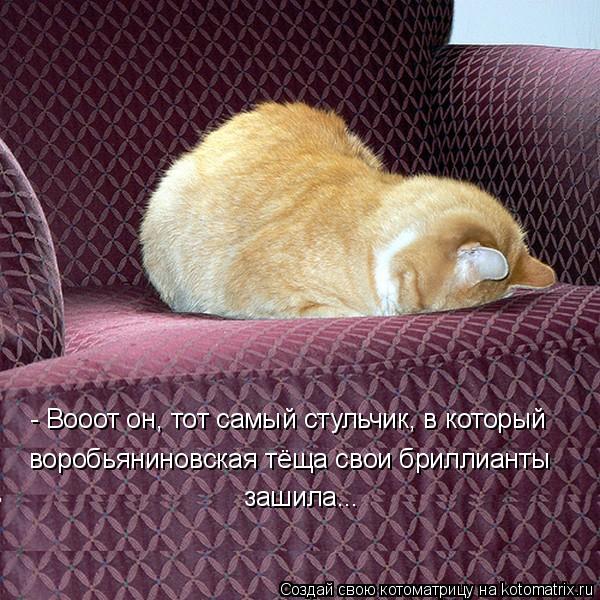 Котоматрица: - Вооот он, тот самый стульчик, в который  воробьяниновская тёща свои бриллианты  зашила...