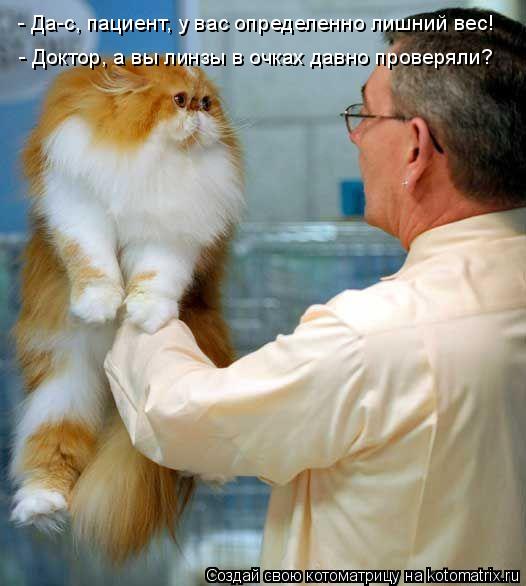 Котоматрица: - Да-с, пациент, у вас определенно лишний вес! - Доктор, а вы линзы в очках давно проверяли?