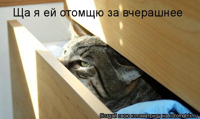 Котоматрица: Ща я ей отомщю за вчерашнее