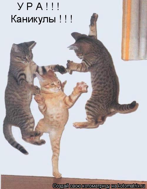Котоматрица: У Р А ! ! ! Каникулы ! ! !
