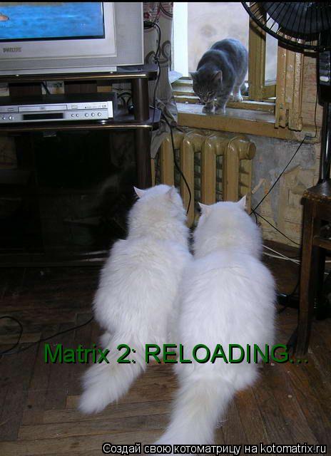 Котоматрица: Matrix 2: RELOADING...