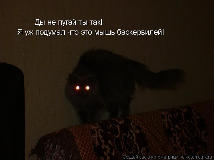 Котоматрица: Ды не пугай ты так! Я уж подумал что это мышь баскервилей!
