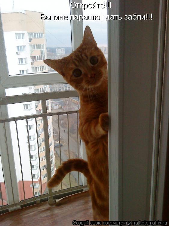 Котоматрица: Откройте!!! Вы мне парашют дать забли!!!