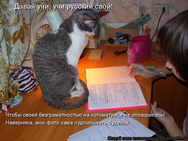 Давай учи, учи русский свой! Чтобы своей безграмотностью на котоматрице не опозорилась! Наверняка, мо... Котоматрица: Давай учи, учи русский свой! Чтобы своей безграмотностью на котоматрице не опозорилась! Наверняка, мои фото сама подписывать будешь!