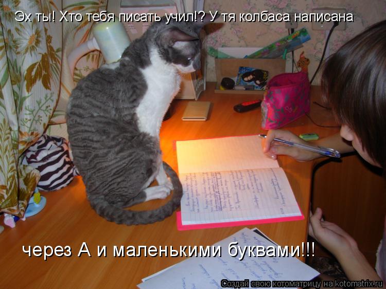 Котоматрица: Эх ты! Хто тебя писать учил!? У тя колбаса написана  через А и маленькими буквами!!!