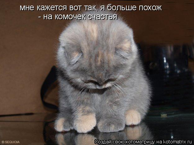 Котоматрица: мне кажется вот так, я больше похож  - на комочек счастья