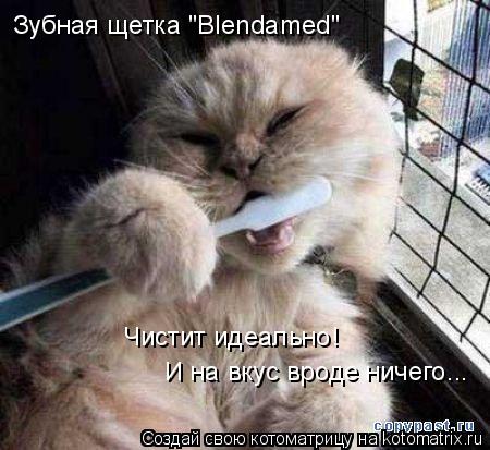 Котоматрица: Зубная щетка "Blendamed"  И на вкус вроде ничего... Чистит идеально!