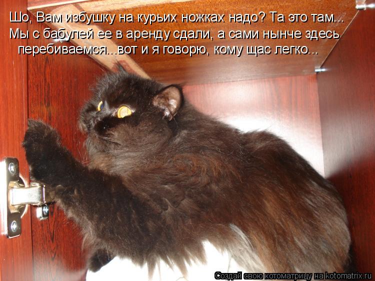 Котоматрица: Шо, Вам избушку на курьих ножках надо? Та это там... Мы с бабулей ее в аренду сдали, а сами нынче здесь перебиваемся...вот и я говорю, кому щас ле