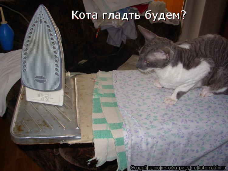 Котоматрица: Кота гладть будем? Кота гладть будем?