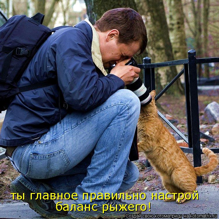 ты главное правильно настрой баланс рыжего!... Котоматрица: ты главное правильно настрой баланс рыжего!