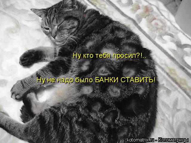 Котоматрица: Ну кто тебя просил?!..  Ну не надо было БАНКИ СТАВИТЬ!