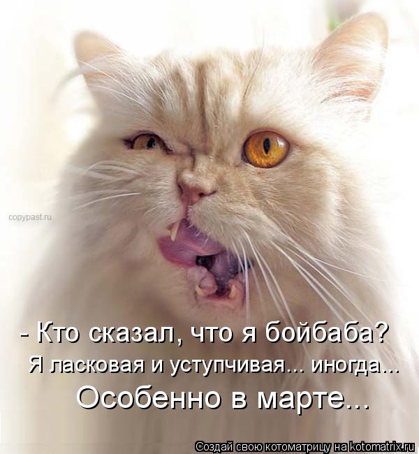 - Кто сказал, что я бойбаба? Я ласковая и уступчивая... иногда... Особенно в марте...... Котоматрица: - Кто сказал, что я бойбаба? Я ласковая и уступчивая... иногда... Особенно в марте...