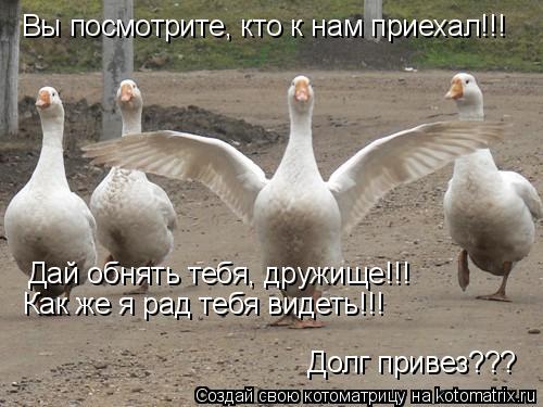 Вы посмотрите, кто к нам приехал!!! Дай обнять тебя, дружище!!! Как же я рад тебя видеть!!! Долг прив... Котоматрица: Вы посмотрите, кто к нам приехал!!! Дай обнять тебя, дружище!!! Как же я рад тебя видеть!!! Долг привез???