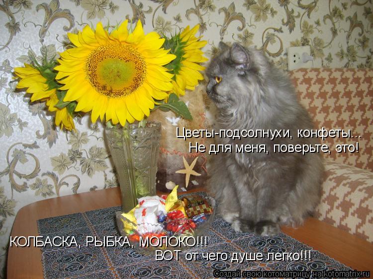 Цветы-подсолнухи, конфеты... Не для меня, поверьте, это! ВОТ от чего душе легко!!! КОЛБАСКА, РЫБКА, М... Котоматрица: Цветы-подсолнухи, конфеты... Не для меня, поверьте, это! ВОТ от чего душе легко!!! КОЛБАСКА, РЫБКА, МОЛОКО!!!