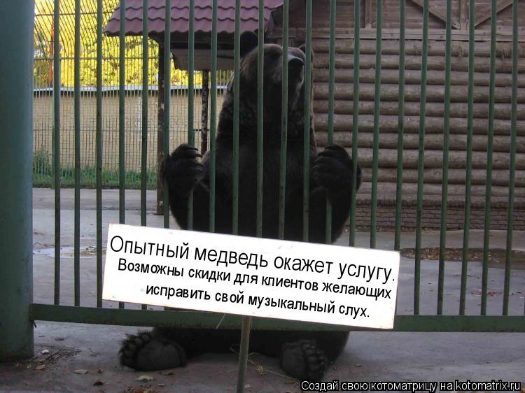 Котоматрица: Опытный медведь окажет услугу. Возможны скидки для клиентов желающих  исправить свой музыкальный слух.