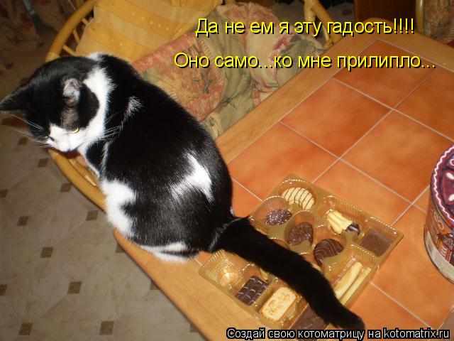 Котоматрица: Да не ем я эту гадость!!!! Оно само...ко мне прилипло...