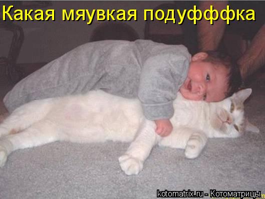 Котоматрица: Какая мяувкая подуфффка