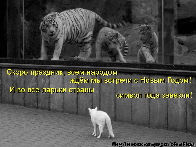 Скоро праздник, всем народом ждём мы встречи с Новым Годом! И во все ларьки страны символ года завезл... Котоматрица: Скоро праздник, всем народом ждём мы встречи с Новым Годом! И во все ларьки страны символ года завезли!