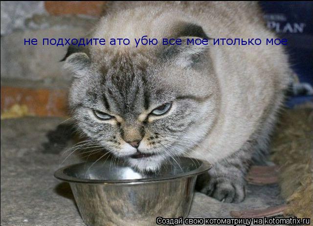 Котоматрица: не подходите ато убю все мое итолько мое