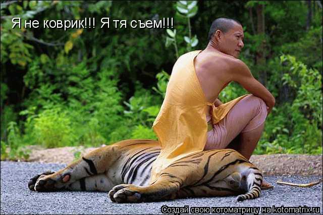Я не коврик!!! Я тя съем!!!... Котоматрица: Я не коврик!!! Я тя съем!!!