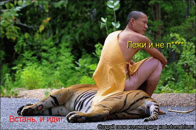Встань, и иди! Лежи и не п****... Котоматрица: Встань, и иди! Лежи и не п****