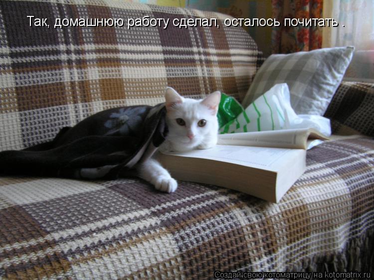 Котоматрица: Так, домашнюю работу сделал, осталось почитать .