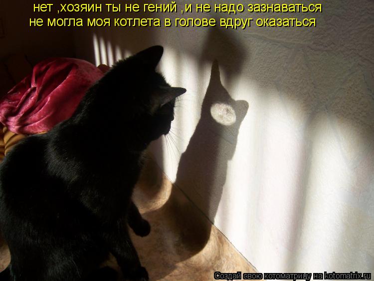 Котоматрица: нет ,хозяин ты не гений ,и не надо зазнаваться не могла моя котлета в голове вдруг оказаться