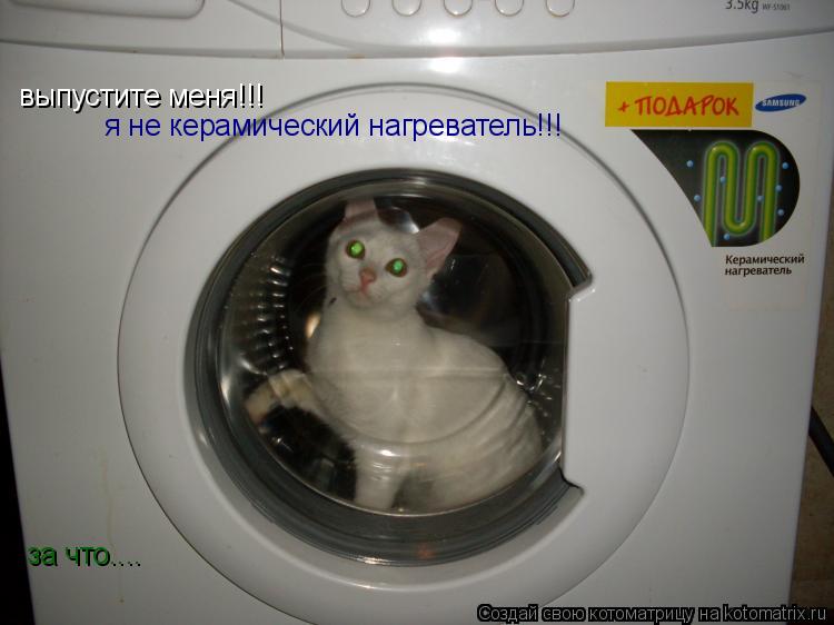 Котоматрица: выпустите меня!!! я не керамический нагреватель!!! за что....