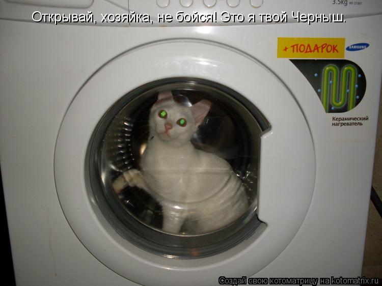 Открывай, хозяйка, не бойся! Это я твой Черныш.... Котоматрица: Открывай, хозяйка, не бойся! Это я твой Черныш.