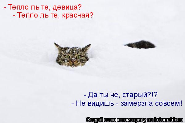 - Тепло ль те, девица? - Тепло ль те, красная? - Да ты че, старый?!? - Не видишь - замерзла совсем!... Котоматрица: - Тепло ль те, девица? - Тепло ль те, красная? - Да ты че, старый?!? - Не видишь - замерзла совсем!