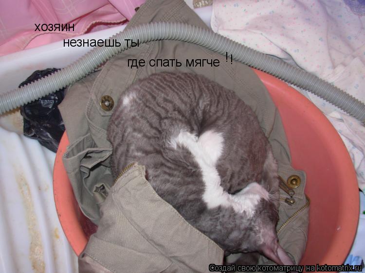 хозяин незнаешь ты где спать мягче ! !... Котоматрица: хозяин незнаешь ты где спать мягче ! !