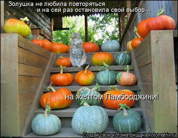 Золушка не любила повторяться и на сей раз остановила свой выбор ... ... на желтом Ламборджини!... Котоматрица: Золушка не любила повторяться и на сей раз остановила свой выбор ... ... на желтом Ламборджини!
