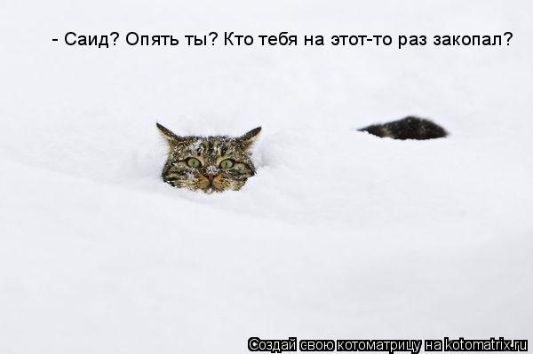 Котоматрица: - Саид? Опять ты? Кто тебя на этот-то раз закопал?