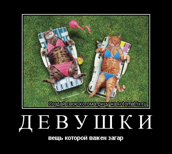 девушки вещь которой важен загар... Котоматрица: девушки вещь которой важен загар